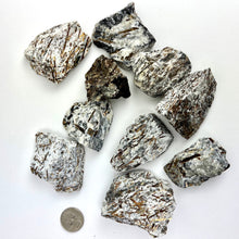 Load image into Gallery viewer, *Astrophyllite | Rough | Russia