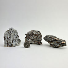 Load image into Gallery viewer, *Astrophyllite | Rough | Russia