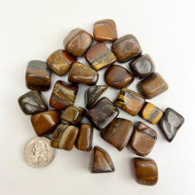 Load image into Gallery viewer, Tiger Iron | Tumbled | 20-30mm | Africa