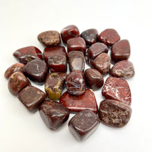 Load image into Gallery viewer, Brecciated Jasper | Tumbled | 20-30mm | India