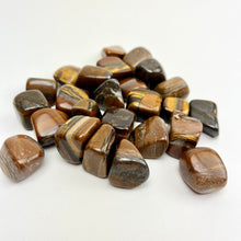Load image into Gallery viewer, Tiger Iron | Tumbled | 20-30mm | Africa