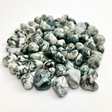 Load image into Gallery viewer, Tree Agate | Tumbled | 15-25mm | 1lb | India