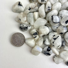 Load image into Gallery viewer, Rainbow Moonstone | Tumbled | 15-25mm | India
