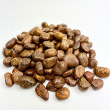 Load image into Gallery viewer, Miriam ("Calligraphy Stone") | Tumbled | 15-25mm | 1lb | India