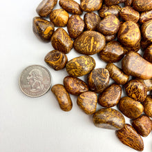 Load image into Gallery viewer, Miriam ("Calligraphy Stone") | Tumbled | 15-25mm | 1lb | India