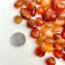 Load image into Gallery viewer, Carnelian | Tumbled | 15-25mm | India