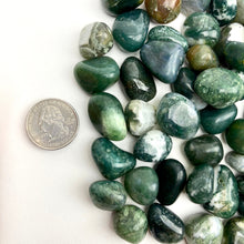 Load image into Gallery viewer, Moss Agate | Tumbled | 15-20mm | 1 lb | India