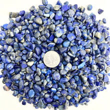 Load image into Gallery viewer, Lapis Lazuli | Tumbled Chips | 1lb | 4-7mm | India