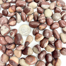 Load image into Gallery viewer, Narmada or "Shiva Stone" | Tumbled | 15-20mm | 1lb | India