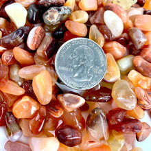Load image into Gallery viewer, *Carnelian | Tumbled | Kilo | Brazil | Choose a Size!