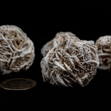 Load image into Gallery viewer, Desert Rose Selenite | Morocco