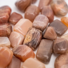 Load image into Gallery viewer, Coffee Moonstone | Tumbled | 1lb bag | 10-20mm | India
