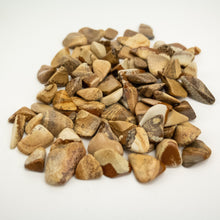 Load image into Gallery viewer, Picture Jasper | Tumbled | 20-25mm | India | Kilo