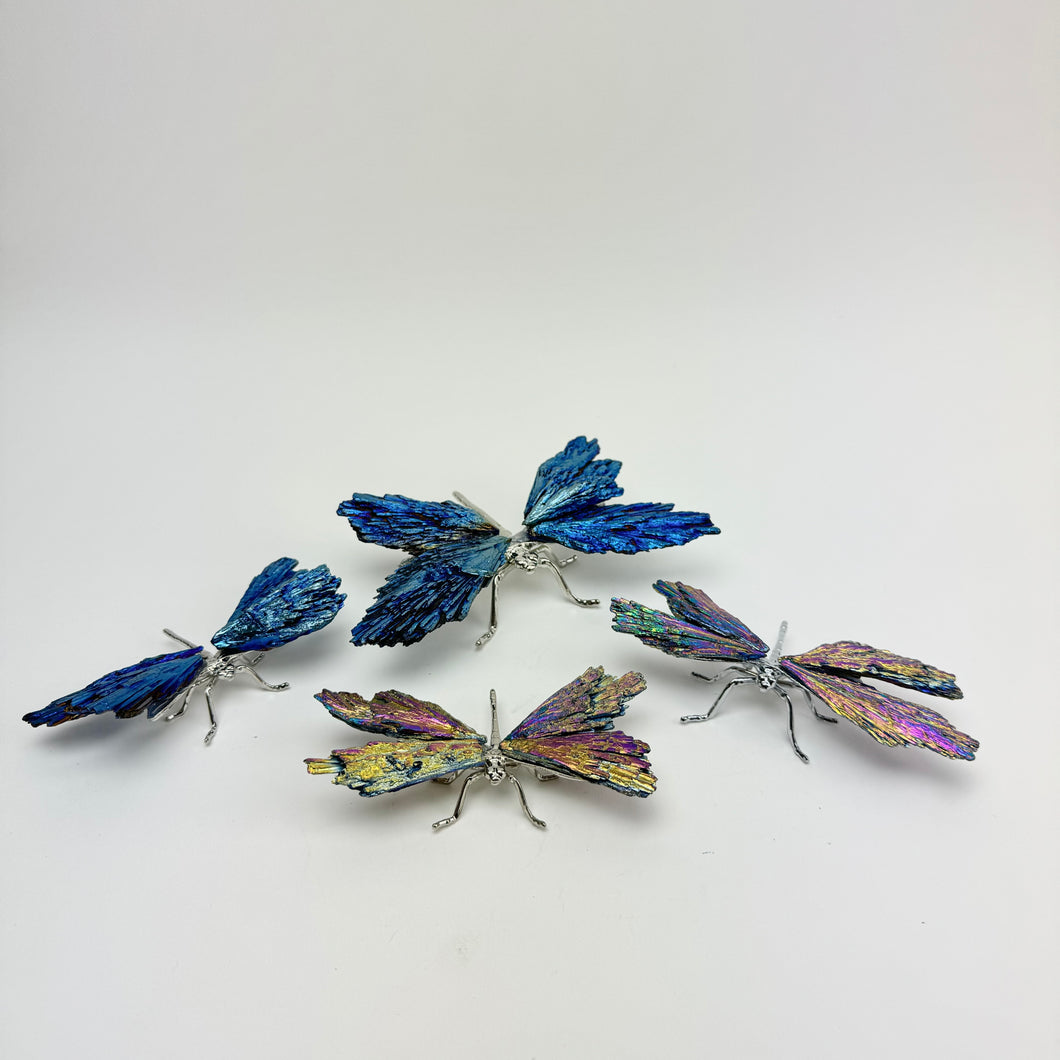 Rainbow Titanium Kyanite | Butterflies