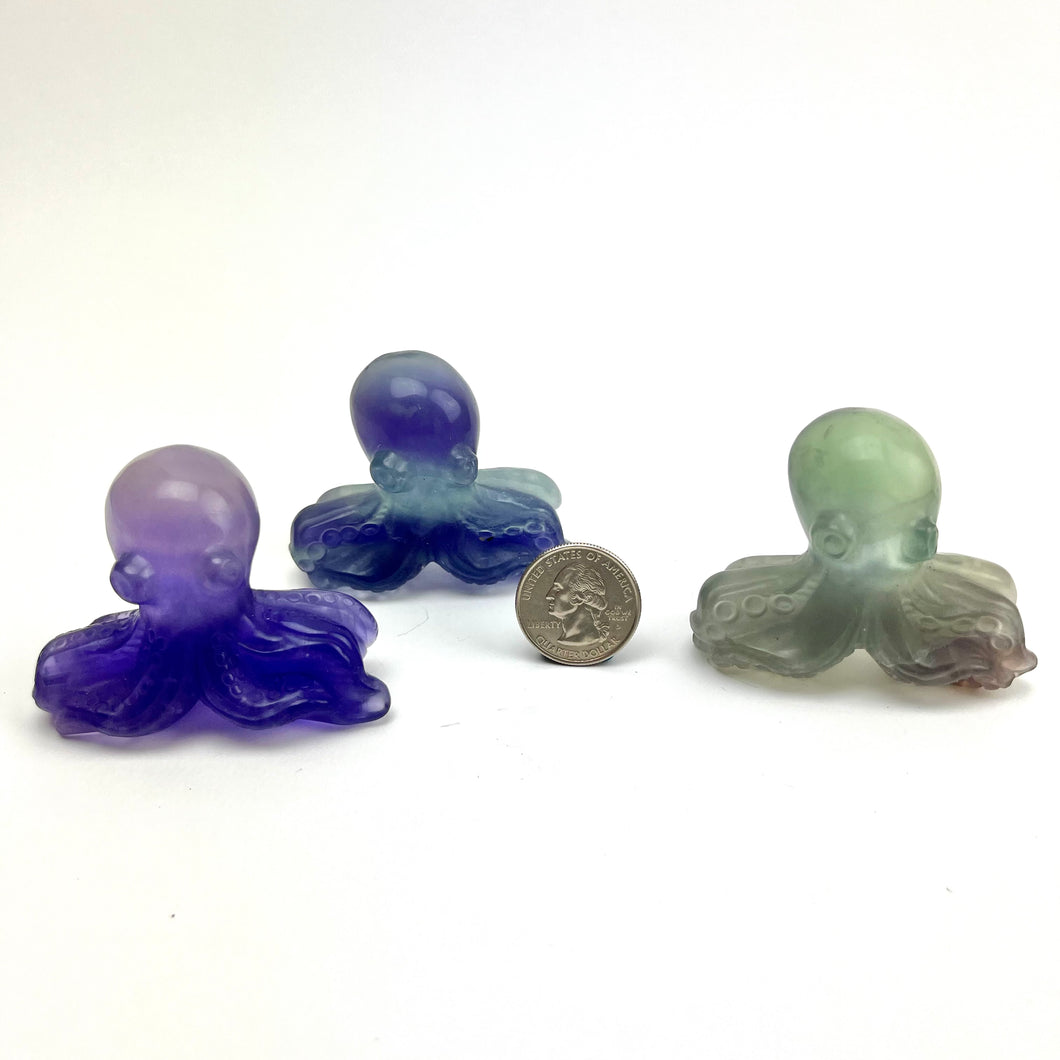 Octopus Carving | Fluorite | 50-60mm