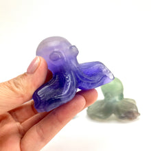 Load image into Gallery viewer, Octopus Carving | Fluorite | 50-60mm
