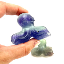 Load image into Gallery viewer, Octopus Carving | Fluorite | 50-60mm
