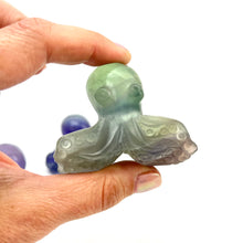Load image into Gallery viewer, Octopus Carving | Fluorite | 50-60mm
