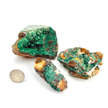 Load image into Gallery viewer, Malachite | Morocco | Choose Size
