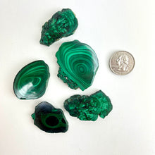 Load image into Gallery viewer, Malachite | Polished Slice | Africa
