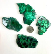 Load image into Gallery viewer, Malachite | Polished Slice | Africa
