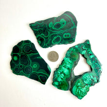 Load image into Gallery viewer, Malachite | Polished Slice | Africa
