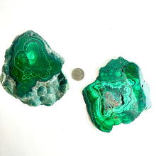 Load image into Gallery viewer, Malachite | Polished Slice | Africa
