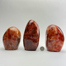 Load image into Gallery viewer, Carnelian | XL Freeform Statue | 130-160mm | Madagascar
