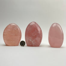 Load image into Gallery viewer, Rose Quartz | Freeform Statue | 90-110mm
