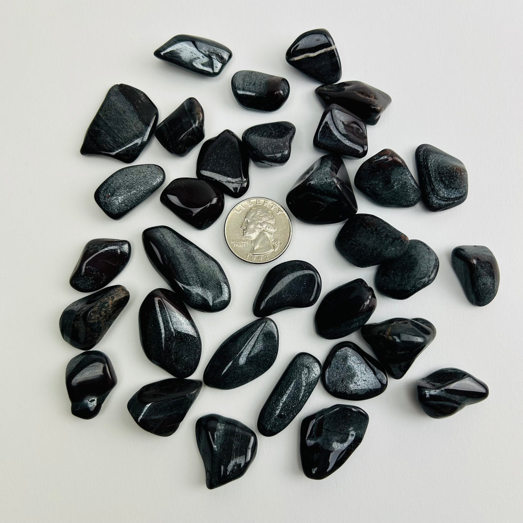 Ancestralite | Tumbled | 1/2 lb | Choose a size