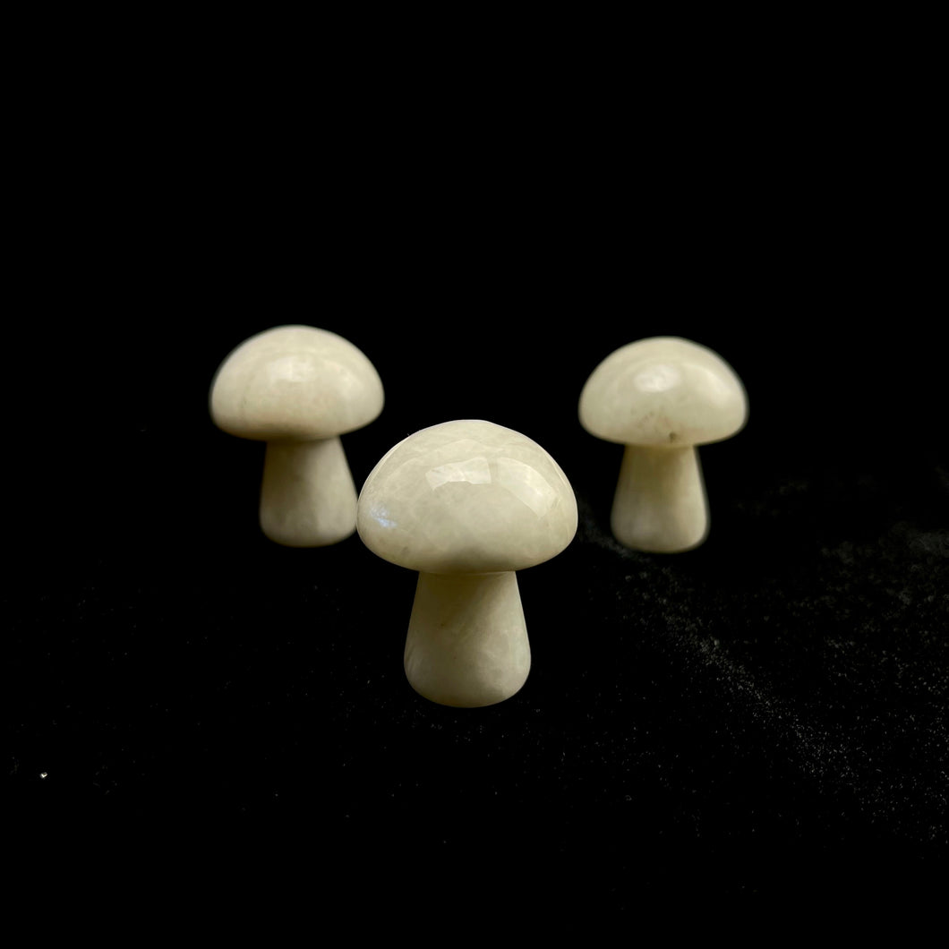 Belomorite Mushroom | 30mm