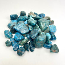 Load image into Gallery viewer, Blue Apatite | Tumbled | 1 lb | 20-45mm | Madagascar
