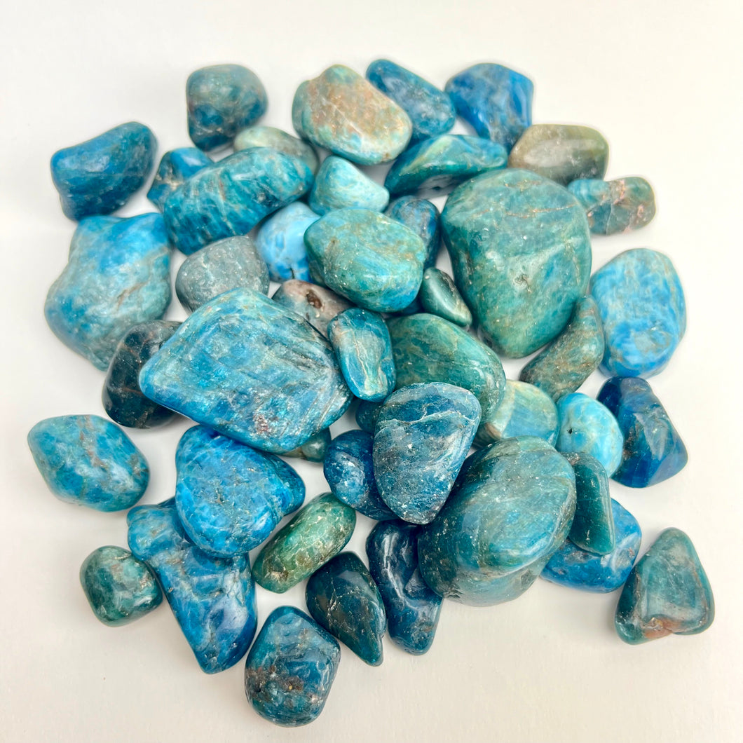 Blue Apatite | Tumbled | 1 lb | 20-45mm | Madagascar