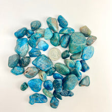 Load image into Gallery viewer, Blue Apatite | Tumbled | 1 lb | 20-45mm | Madagascar
