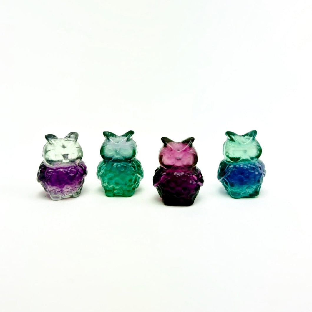 Fluorite | Mini Owl Carving | 15-20mm