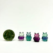 Load image into Gallery viewer, Fluorite | Mini Owl Carving | 15-20mm
