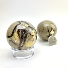 Load image into Gallery viewer, Septarian &quot;Dragon Stone&quot; Sphere | 2-3&quot; | Madagascar
