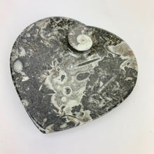 Load image into Gallery viewer, Fossil Heart Dish | 100mm | Morocco
