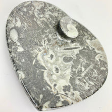 Load image into Gallery viewer, Fossil Heart Dish | 100mm | Morocco
