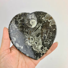 Load image into Gallery viewer, Fossil Heart Dish | 100mm | Morocco
