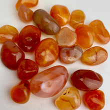 Load image into Gallery viewer, Carnelian | Tumbled | 1lb bag | 15-20mm | South Africa
