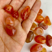 Load image into Gallery viewer, Carnelian | Tumbled | 1lb bag | 15-20mm | South Africa
