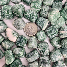 Load image into Gallery viewer, Tree Agate | Tumbled | 20-25mm | India | Kilo Lot
