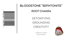 Load image into Gallery viewer, Bloodstone &quot;Sephtonite&quot; | Tumbled | South Africa
