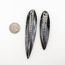 Load image into Gallery viewer, Polished Fossil Orthoceras | 50-75 mm | Pre-Drilled for Pendant Creations
