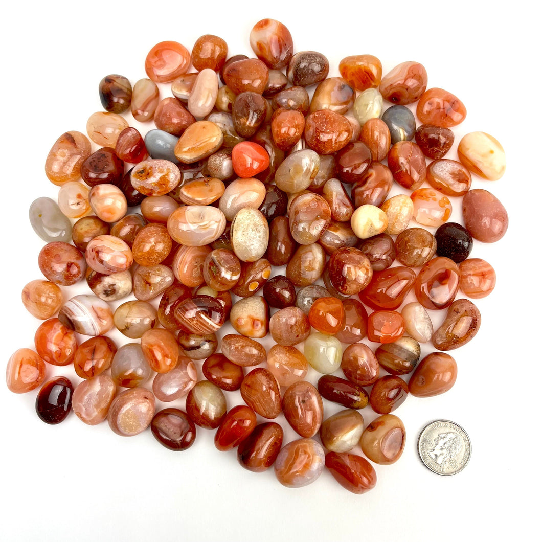 Banded Carnelian | Tumbled | 15-25mm | India