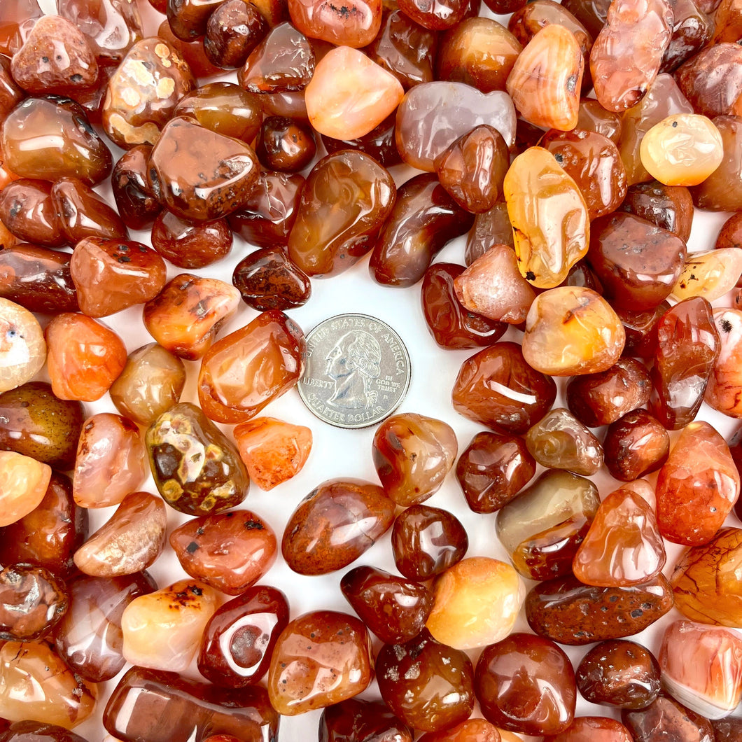Carnelian 