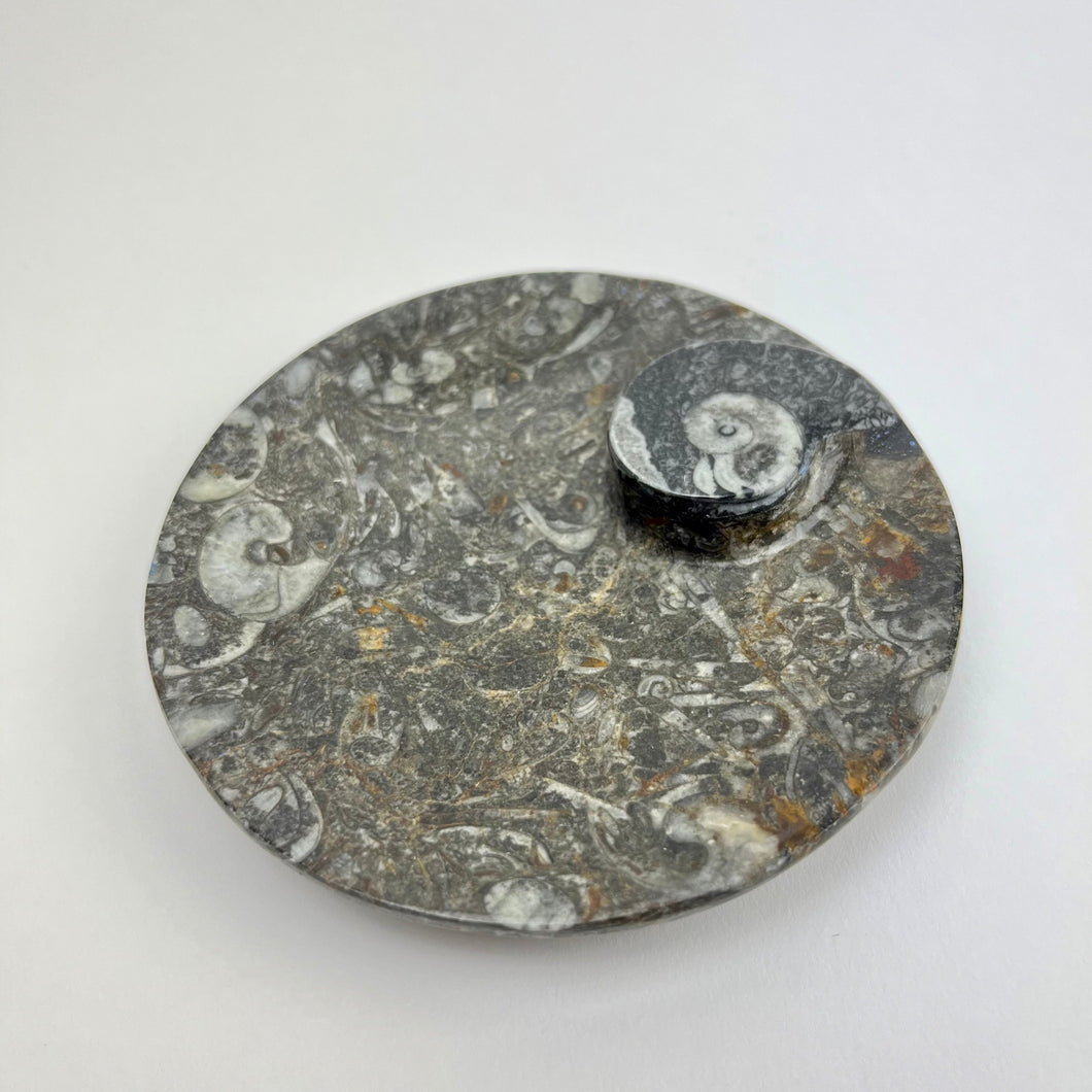 Fossil Round Dish | 100mm | Morocco