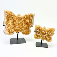 Load image into Gallery viewer, Citrine Cluster | Butterfly | Iron Stand

