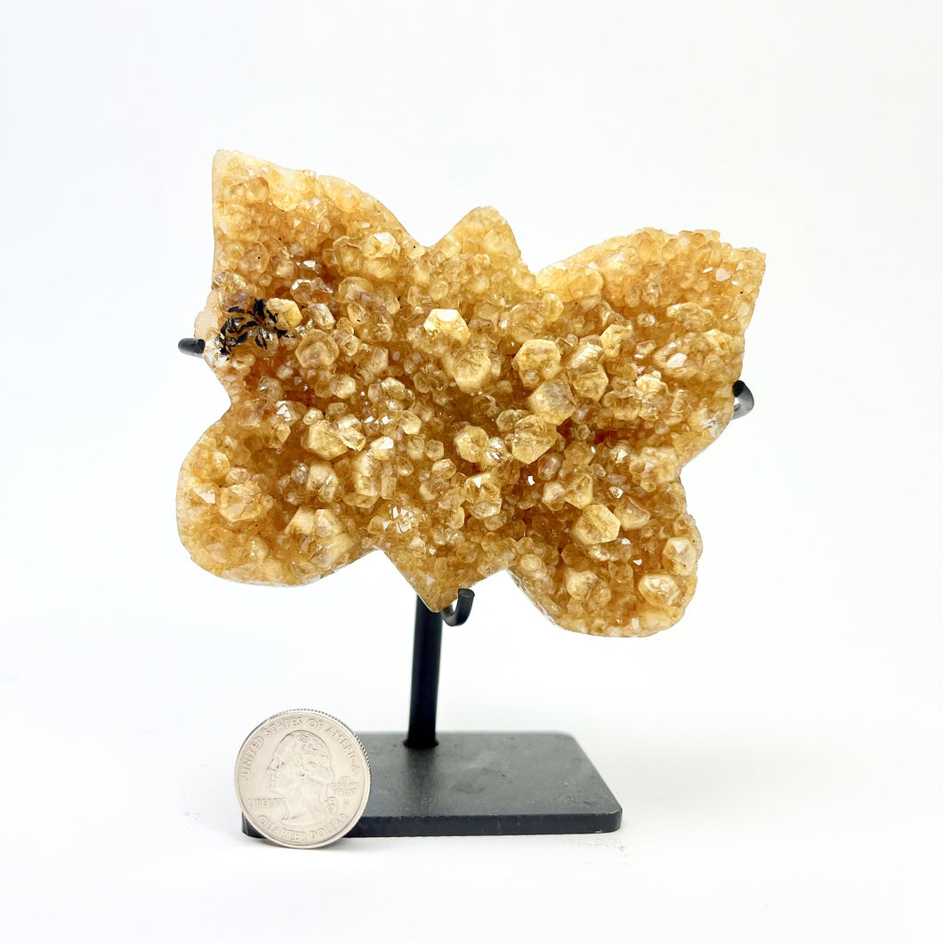 Citrine Cluster | Butterfly | Iron Stand